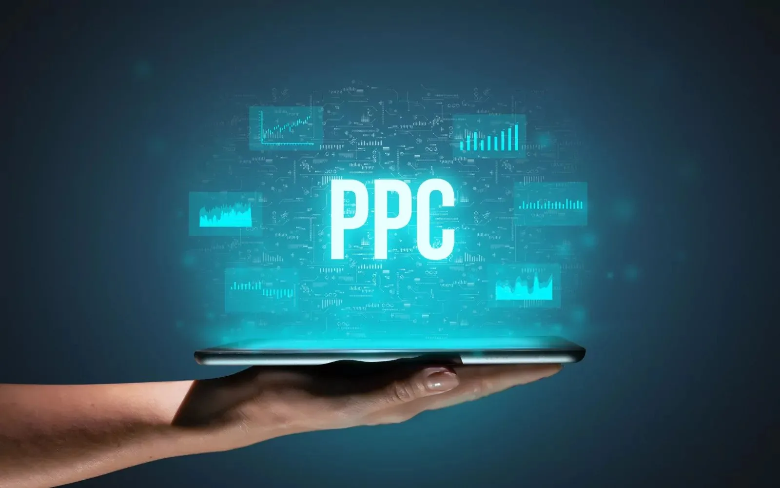 ppc-amanagement_sej-805